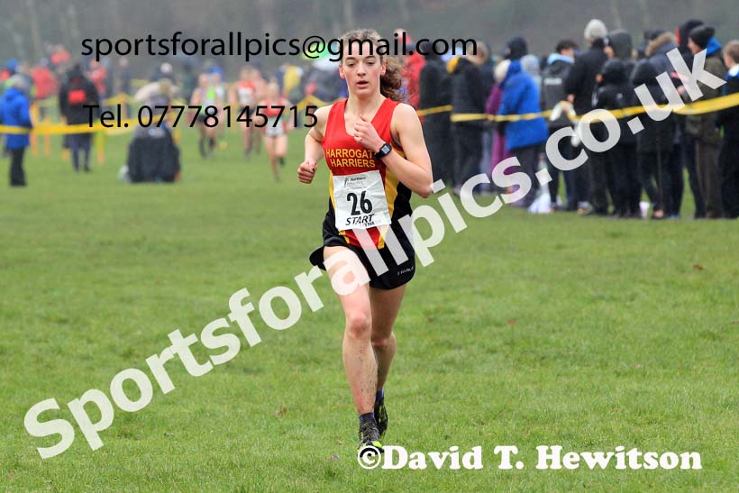 Junior Womens 2023 Northern Cross Country Champs., Witton Park, Blackburn. Photo: David T. Hewitson/Sports for All Pics